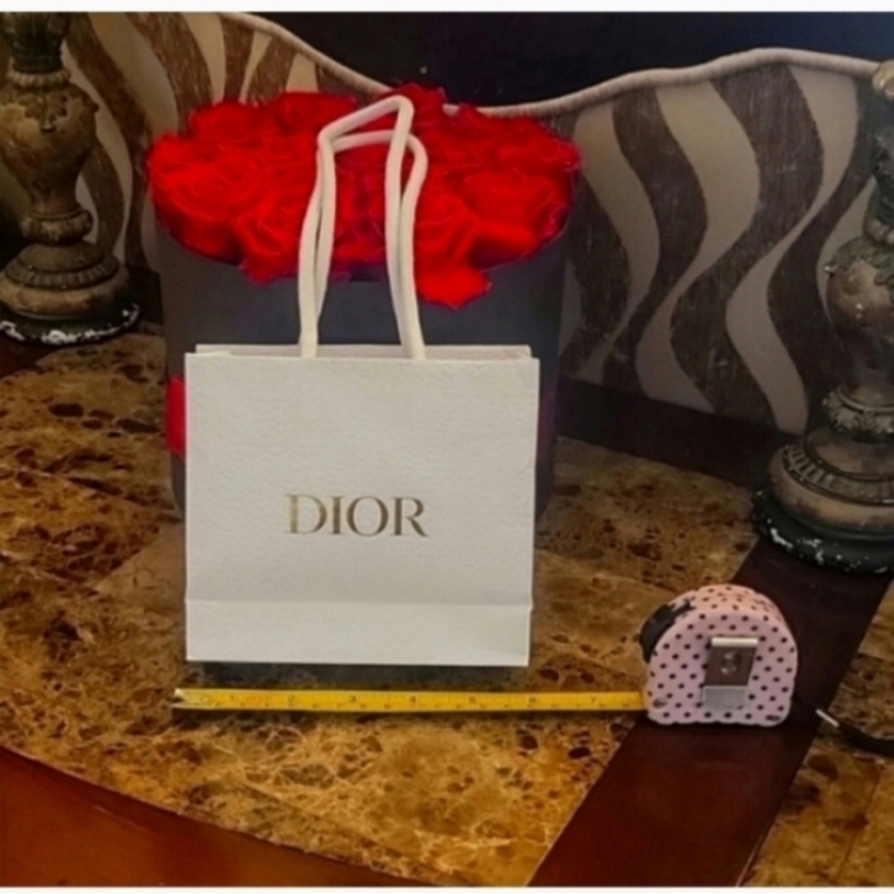 Dior bag size 6 x 5,5